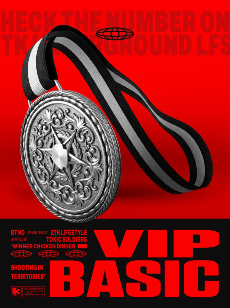 VIP BASIC - 1 DIA